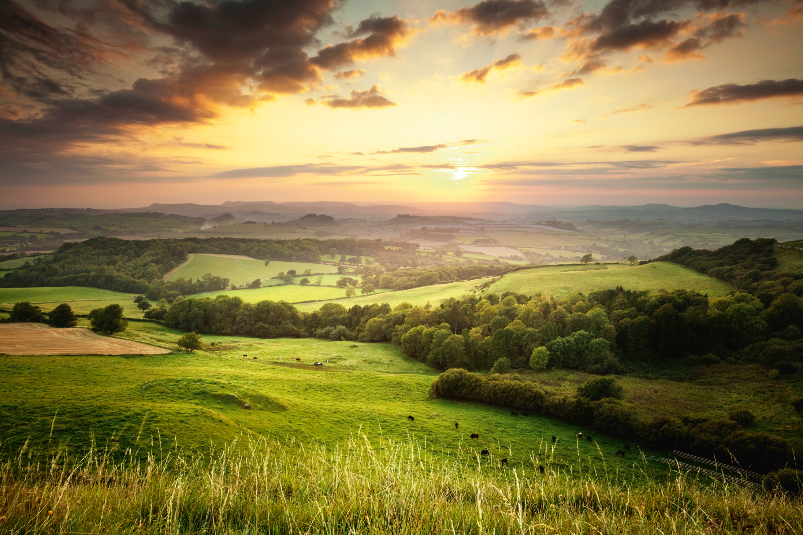 Gettyimages 147989111